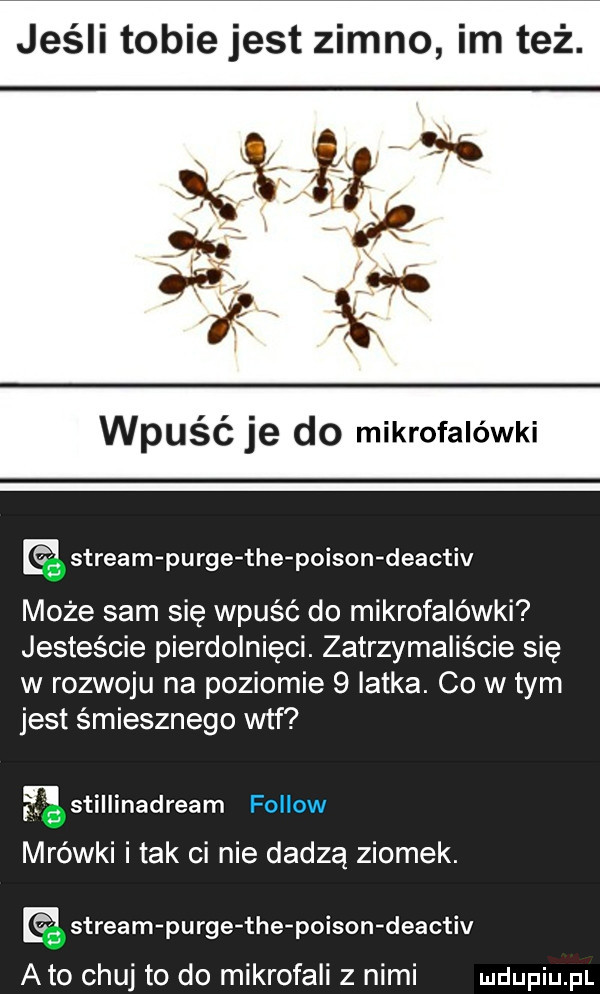 jeśli tobie jest zimno im też. wpuść je do mikrofalówki stream purge tee poison deactiv może sam się wpuść do mikrofalówki jesteście pierdolnięci. zatrzymaliście się w rozwoju na poziomie   latka. co w tym jest śmiesznego wtf stillinadream fellow f mrówki i tak ci nie dadzą ziomek. stream purge tee poison deactiv abo chuj to do mikrofali z nimi