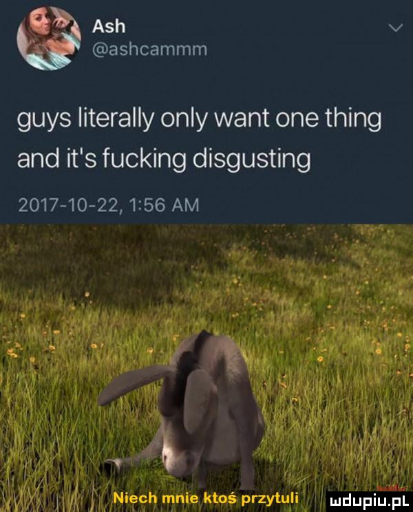grys literalny orly want one thing and it s fucking disgusting                 am