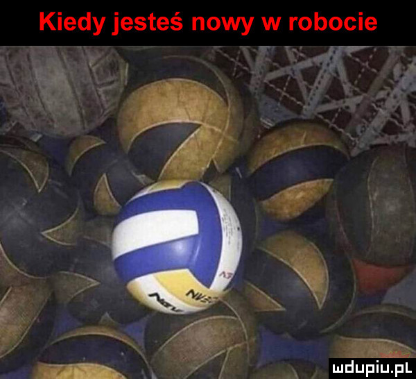 kiedy jesteś nowy w robocie u. wdupiu pl