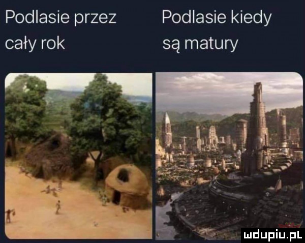 podlasie przez podlasie kiedy cały rok są matury