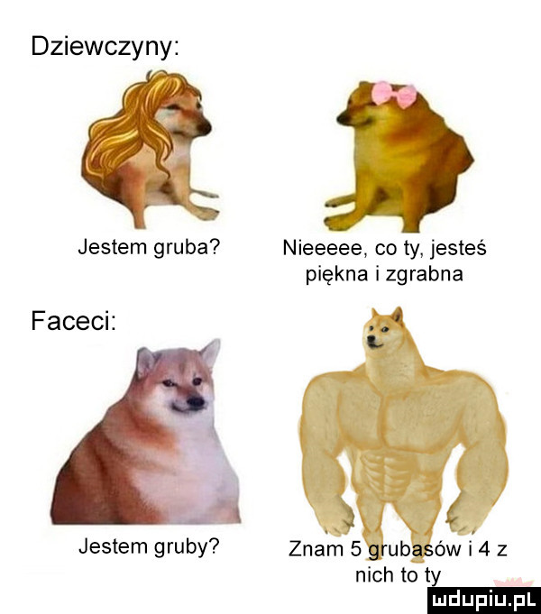 dziewczyny    jestem gruba faceci jestem gruby nieeeee co ty jesteś piękna i zgrabna l k zna mv  grubasów i   z nich to te