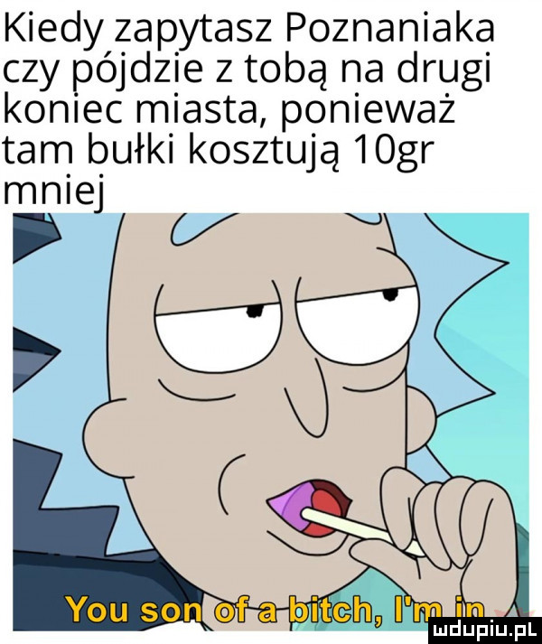 kiedy zapytasz poznaniaka czy pójdzie z tobą na drugi koniec miasta ponieważ tam bułki kosztują   gr malej