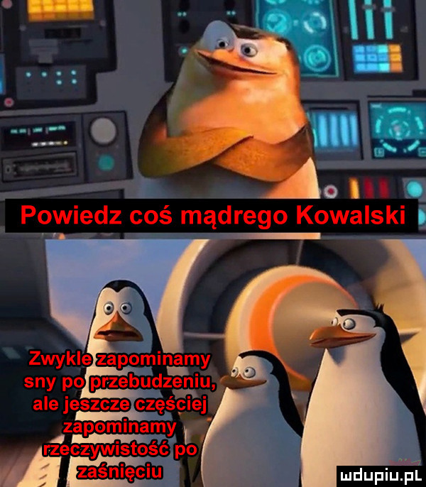 i powiedz coś mądrego kowalski zwykle zapominamy mdupiinl sny po przebudzeniu ale jeszcze częściej zapominamy rzeczywistość po na zaśnięciu