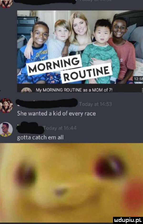 sie wanted a kad of esery race   gotta catch em all