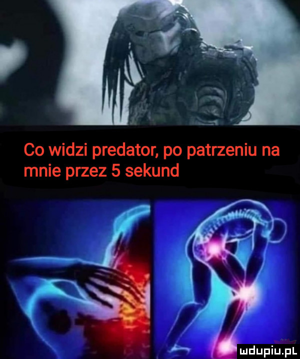 co widzi predator po patrzeniu na mnie przez   sekund