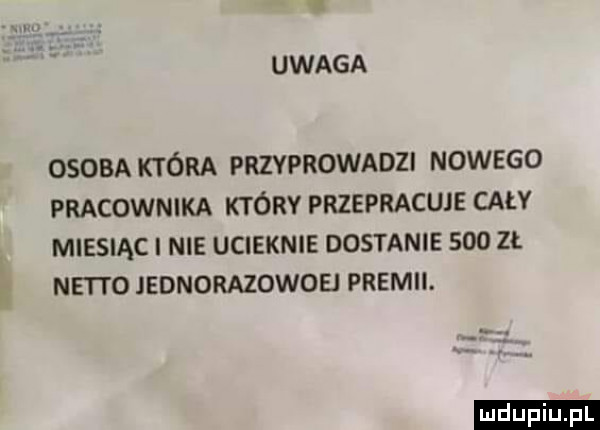 v uwaga osoba która przyprowadzi nowego pracownika który przepracuje cały miesiąc i nie ucieknie dostanie     zł netto jednorazowoei premii