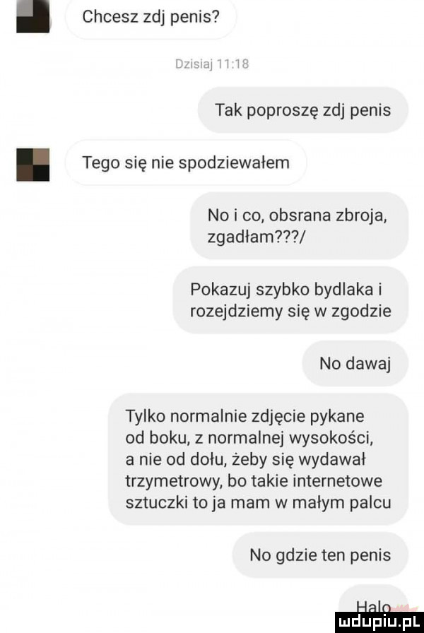 chcesz zuj penis tak poproszę zuj penis tego się nie spodziewałem nai co obsrana zbroja zganiam pokazuj szybko bydlaka i rozejdziemy się w zgodzie no dawaj tylko normalnie zdjęcie pykane od boku z normalnej wysokości a nie od dołu żeby się wydawał trzymetrowy bo takie internetowe sztuczki to ja mam w małym palcu no gdzie ten penis