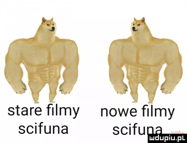 stare ﬁlmy nowe ﬁlmy scifuna