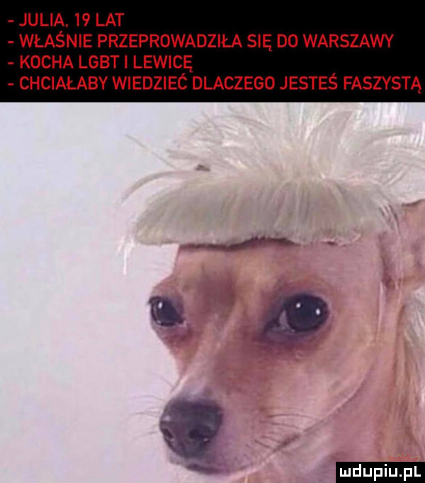 julia.    lat właśnie przeprowadziła się d  warszawy kocha lgbti lewicę chciałaby wiedziec dlaczego jesteś faszystą q ludu iu. l