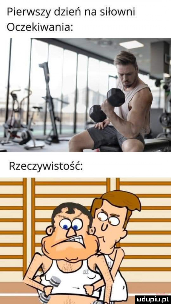 pierwszy dzień na siłowni oczekiwania ludu iu. l