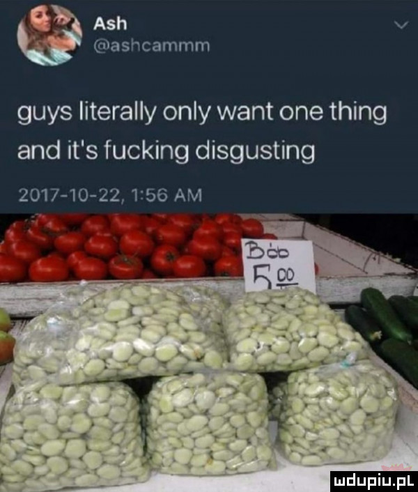 ach v ashcammm grys literalny orly want one thing and it s fucking disgusting                 am