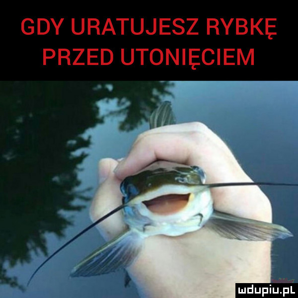 gdy uratujesz rybke. przed utonięciem