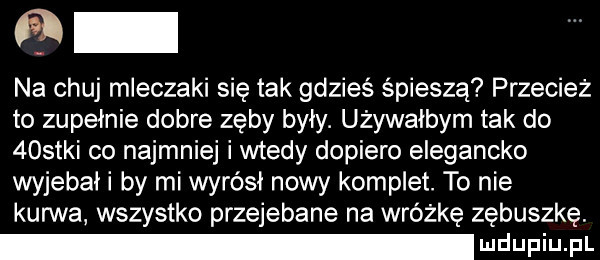 na chuj mleczaki się tak gdzieś śpieszą przecież to zupełnie dobre zęby były. używałbym tak do    tai co najmniej i wtedy dopiero elegancko wyjebał i by mi wyrósł nowy komplet. to nie kurwa wszystko przejebane na wróżkę zębuszkę. wdaniu pl