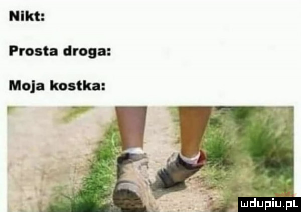 nikt frosta droga moja kostka r jdupiupl