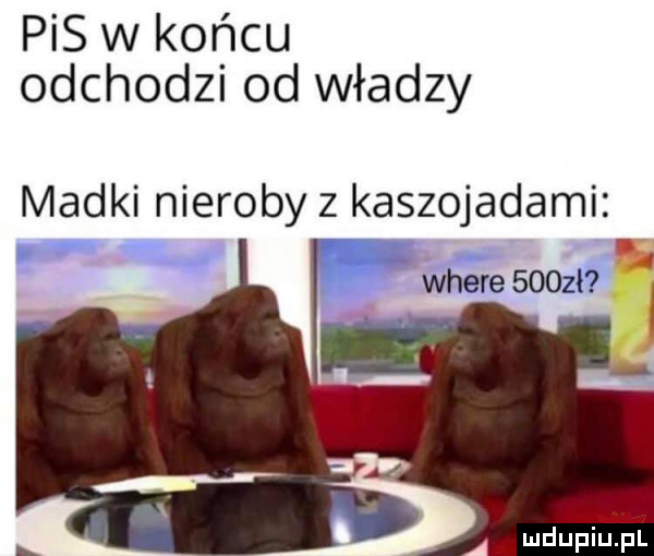 pis w końcu odchodzi od władzy madki nieroby z kaszojadami where