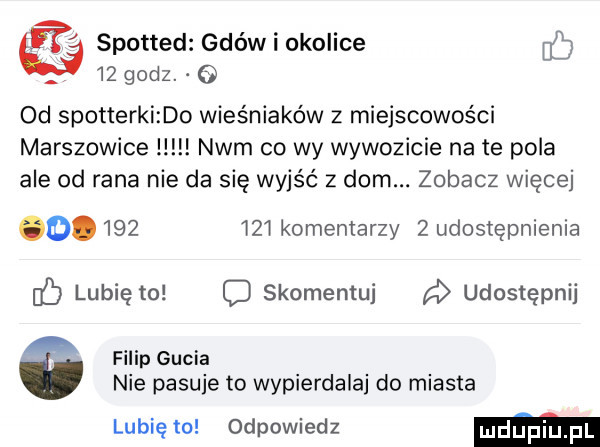 śą spotted gdów i okolice    godz. od spotterki do wieśniaków z miejscowości marszowice nam co wy wywozicie n-te pola ale od rana nie da się wyjść   dom. zobacz więcej o.         komentarzy z udostępnienia ó lubię to c skomentuj udostępnij filip gucia nie pasuje to wypierdalaj do miasta lubię to odpowiedz