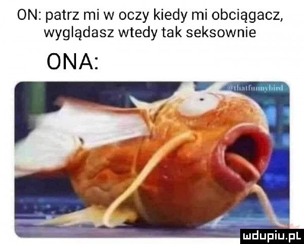 on patrz mi w oczy kiedy mi obciągacz wyglądasz wtedy tak seksownie ona