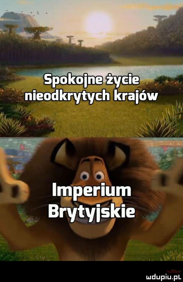 nieodkrytych krabów i n i in o   impeljugn brytﬁislgie