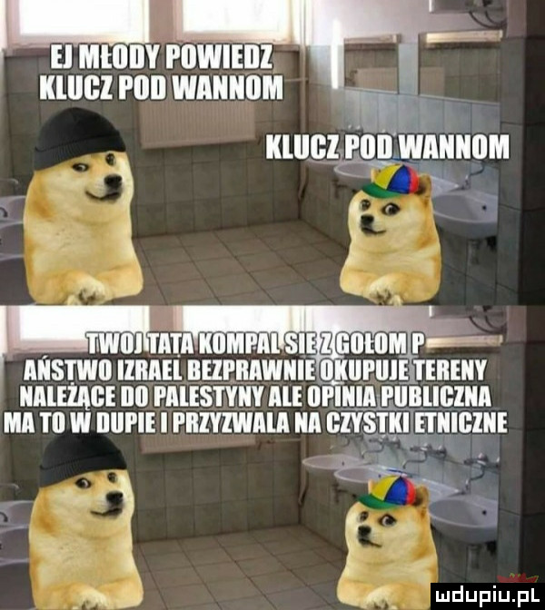 viw nuczrnnwnuunm uluclgiliivinunum  .   la j atakowana lajt pś anstwii ilmel beifiiawiiie m lal lali tereny apli iii palus i yiiy ale lal llllﬂ pliﬂllﬂlllﬂ ma iii w lllipie l i iizviwma a czy kłęiiiigiiie q v n m. l