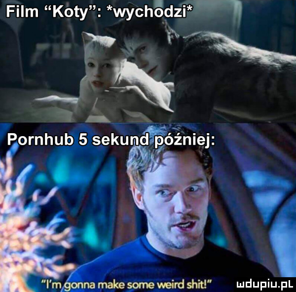 film koty wychędzm ff i pornhub   sekundpóźniej i m na make some weird skit