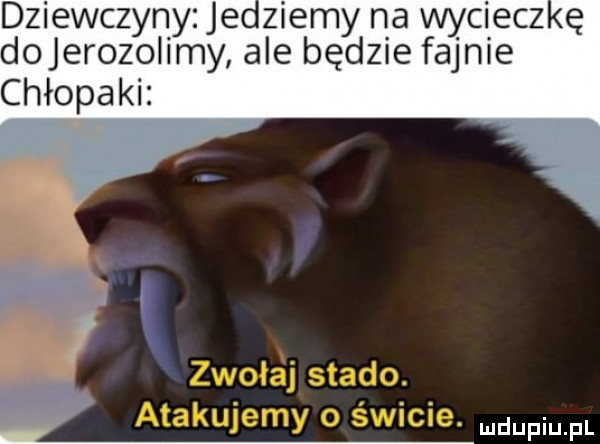 dziewczyny jedziemy na wyciecz ę dojerozoiimy ale będzie fajnie chłopaki