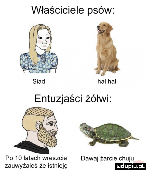 właściciele psów hoi hoi n p     iktach wreszcie dawaj żarcie chuju zauwyżaieś że istnieję