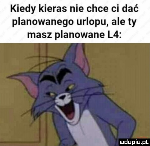 kiedy kieres nie chce ci dce planowanego urlopu ale ty masz planowane l