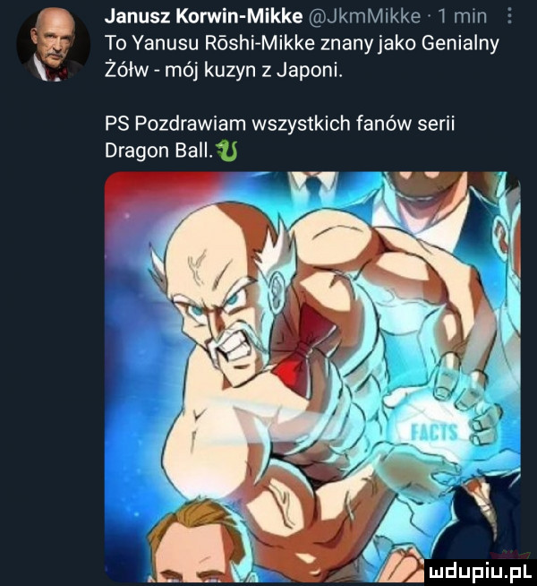 janusz korwin mikre kamnkke   mm to yanusu róshi mikre znany jako genialny żółw mój kuzyn z japonl ps pozdrawiam wszystkich fanów serii dragon bell