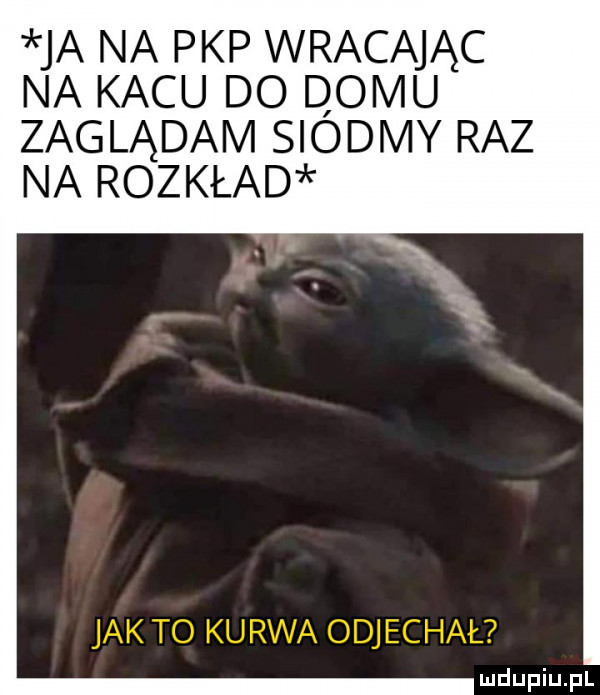 ja na pkp wracając na kacu do domu zaglądam siodmy raz na rozkład