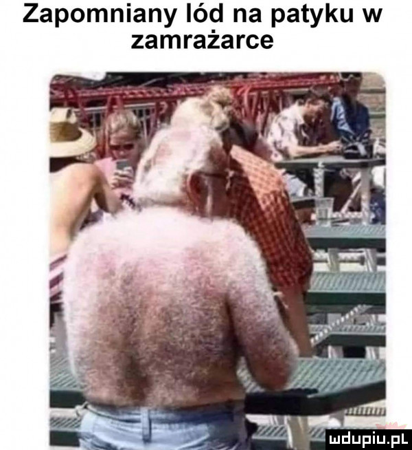 zapomniany lód na patyku w zamrażarce ł v