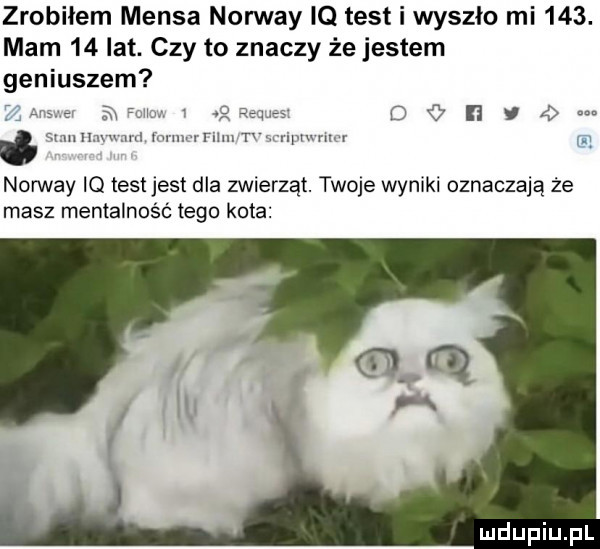 zrobiłem mensa norway iq test i wyszło mi    . mam    lat. czy to znaczy że jestem geniuszem. av dce l wim m w r r w norway iq test jest dla zwierząt. twoje wyniki oznaczają że masz mentalność tego kota