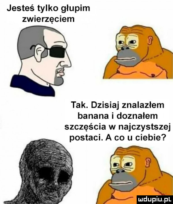 jesteś tylko głupim zwierzęciem tak. dzisiaj znalazłem banana i doznałem szczęścia w najczystszej postaci. a co u ciebie