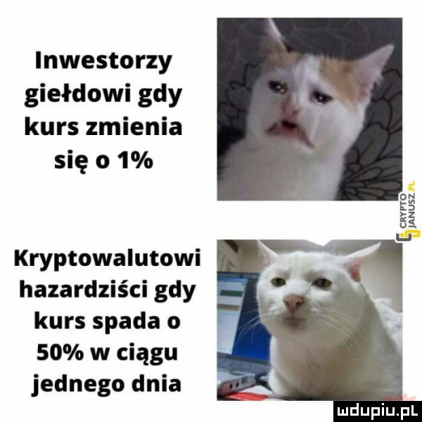inwestorzy giełdowi gdy kurs zmienia się o   kryptowalutowi hazardziści gdy kurs spada o    w ciągu jednego dnia
