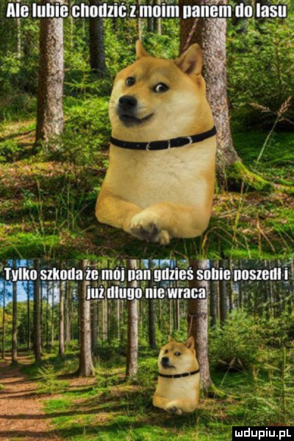 i cnoqzićit l   i lilii easa lini lldll