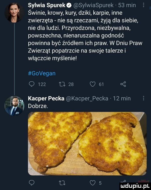 sylwia spureko sylwiaspurek    mm świnie krowy kury dziki karpie inne zwierzęta nie są rzeczami żyją dla siebie nie dla ludzi. przyrodzona niezbywalna powszechna nienaruszalna godność powinna być zródlem ich praw. w dniu praw zwierząt popatrzcie na swoje talerze i włączcie myślenie govegan o     o    o e  rę kacper pecka kacperźpecka    min dobrze. abakankami o