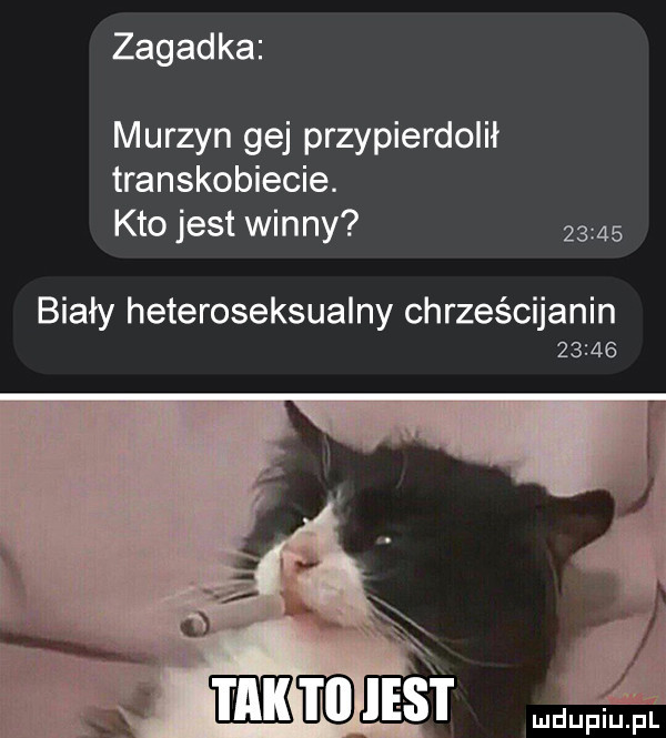 zagadka murzyn gej przypierdolił transkobiecie. kto jest winny       biały heteroseksualny chrześcijanin       ﬂ lud ljfiiijjeil