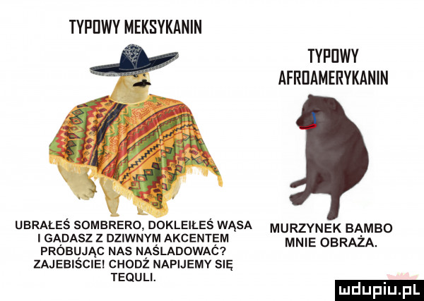 typijwy meksykanin typijwy afrdamervkanin ubrałeś sombrero dokleiles wąsa murzynek rambo i gadasz z dziwnym akcentem próbując nas naśladowac mnie obraza zajeeiściei cuonź napijemy się tequli