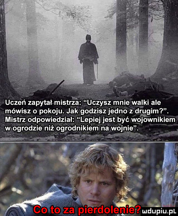 uczeń zapytaimistrzxa uczysz mnie walki ale mówisz o pokoju. jak godzisz jedno z diggimw. mistrz odpowiedział lepiej jest być wojownikiem w ogrodzie niż ogrod ibm na wojnie