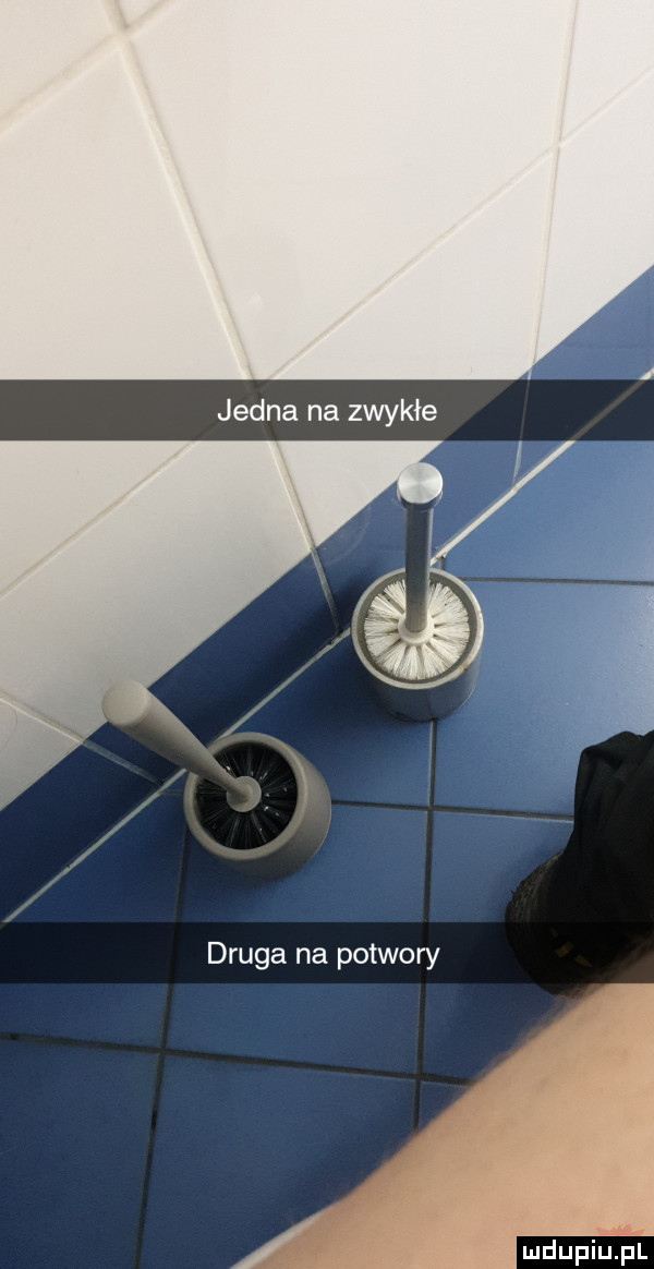 jedna na zwykłe druga na potwory