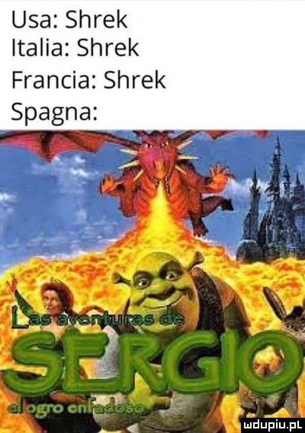 usa shrek italia shrek francja shrek