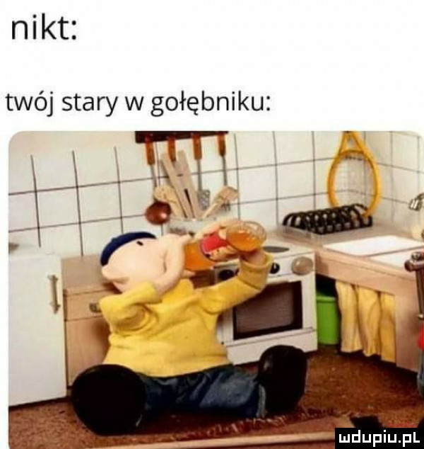 nikt twój stary w gołębniku