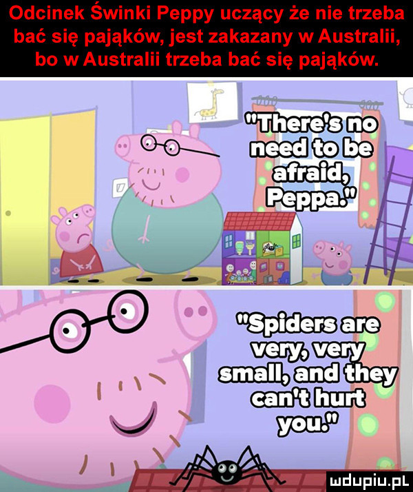 odcinek świnki pappy uczący że nie trzeba bać się pająków jest zakazany w australii bo w australii trzeba bać się pająków. mm    x magm afraid perka