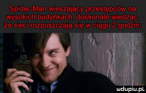 spider man wieszający przestępców na wysokich budynkach doskonale wiedząc że sieci rozpuszczają się w ciągu   godzin mdupiupl