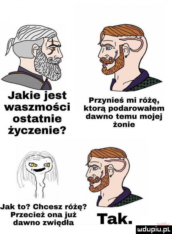 jakie jest przynieś mi różę waszmości którą podarowalem ostatnie dawno temu mojej żonie życzenie jak to chcesz różę przecież ona już dawno zwiędła tak ludu iu. l