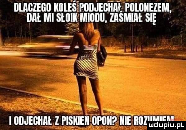iiuiiizegii kuleśśpuiijeghitł poliliiezem. lal ml sllllll miobll ziismim się unamnnt z magma lum id   m