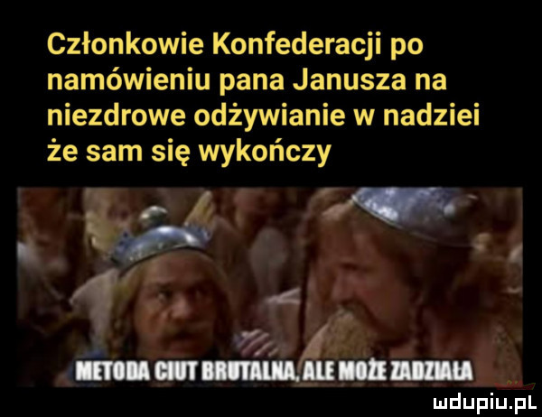 członkowie konfederacji po namówieniu pana janusza na niezdrowe odżywianie w nadziei że sam się wykończy ęw w. l matmy. im