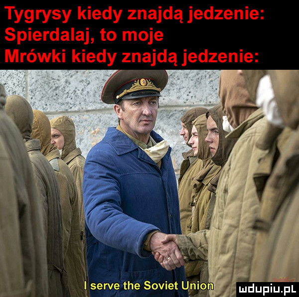 mdupilihl