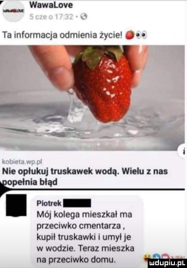 wawalove ó ta informacja odmienia życie kulm li wp pl nie oplukuj truskawek wodą. wielu z nas spełnia błąd. psom mój kolega mieszkal ma przeciwko cmentarza kupił truskawki i umai je w wodzie. teraz mieszka na przeciwko domu
