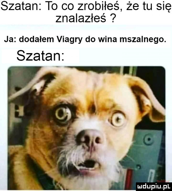szatan to co zrobiłeś że tu się znalazłeś ja dodałem viagry do wina mszalnego