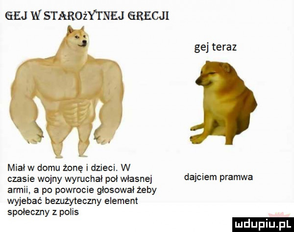 gej starożytnej grecji gej teraz miał w domu żonę i dzieci w czasie wojny wyruchał pał własnej darciem pyemwb armii. a po powrocie głosował żeby wyjebać bezużyteczny element społeczny z polis